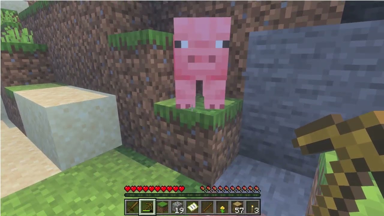 My minecraft survival world