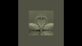 Tchaikovsky-Swan Lake [slowed reverb]