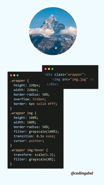 Image Hover Animation | HTML & CSS JavaScript #shortsviral #shorts# ...