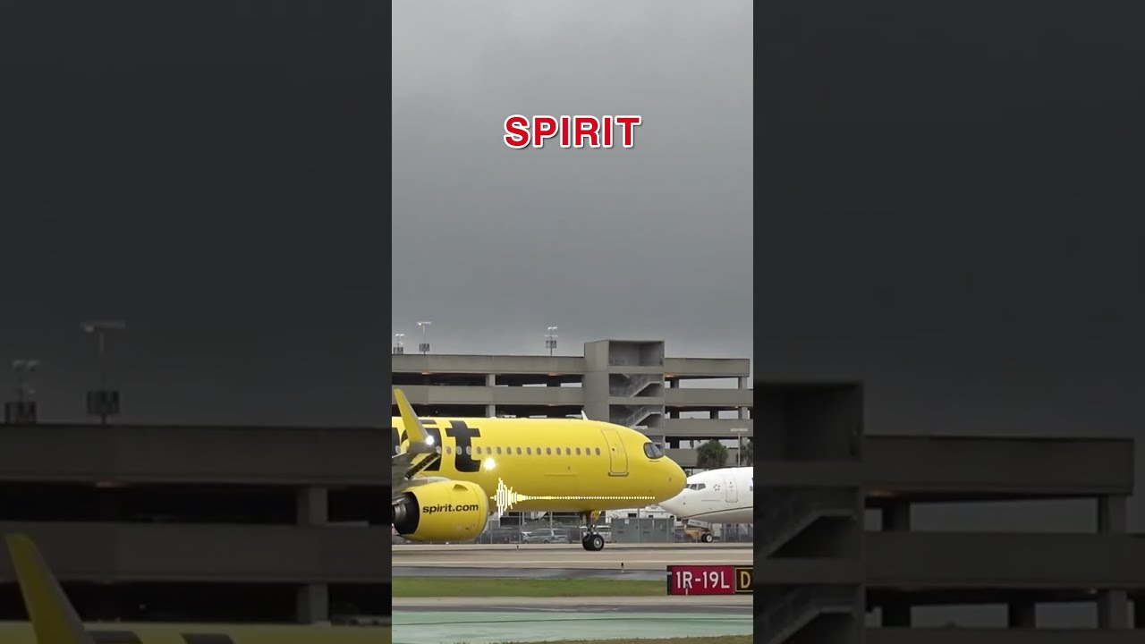 Spirit Pilot Ignores ELEPHANT On RUNWAY 