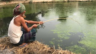 Hook Fishing - Traditional Hook Fishing - Village Daily Life (Part-67)