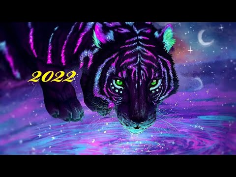 Video: Manicura con un tigre para el año nuevo 2022