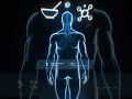 O2, H2O OR FOOD WHAT IS MORE IMPORTANT #facts #curiosity #humanbody # LIFEFACT
