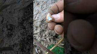 Пока вы играете в верю не верю, мы находим золото!🤟😎 #shorts #поискзолота #gold #metaldetecting