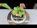 How to Make A Succulent Cake | CHELSWEETS