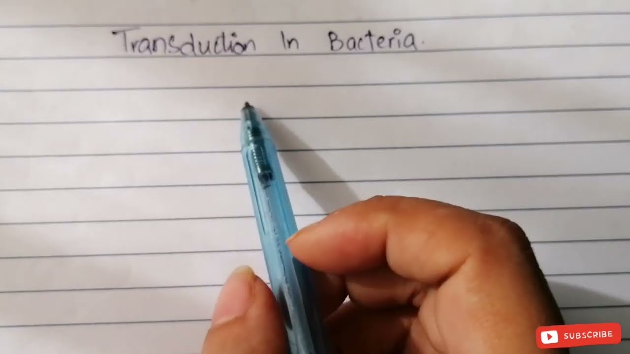 Transduction in Bacteria / generalized transduction vs specialized ...