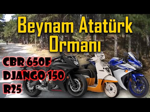 Beynam Atatürk Ormanı