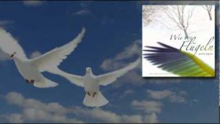 Lieder von Hans Gnann - Wie von Flügel getragen chords