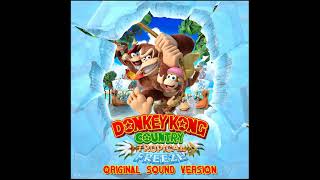 Donkey Kong Country Tropical Freeze — Secret Temple 2 DK Island Swing Returns