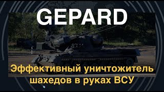 GEPARD: Эффективный уничтожитель шахедов в руках ВСУ