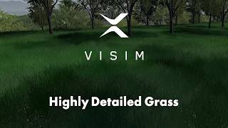 VISIM IG - v3.23 - Highly Detailed Grass