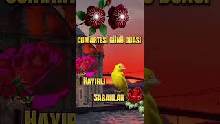 Hayırlı Sabahlar #keşfetteyiz #amin #aboneol #keşvetbeniöneçıkar #aboneolun #öneçıkar #hatay #istanb