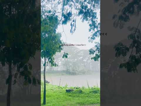 The only weather I crave for 🌧️