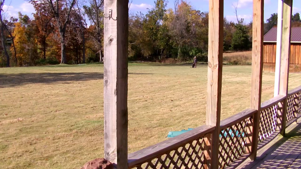 IPO3 Obedience 96 points Zirra