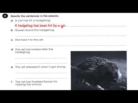 حل صفحة 53 نشاط انكليزي ثالث متوسط 2024