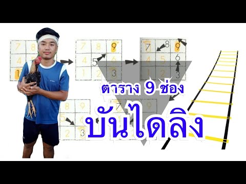 บันไดลิงและตาราง 9 ช่อง