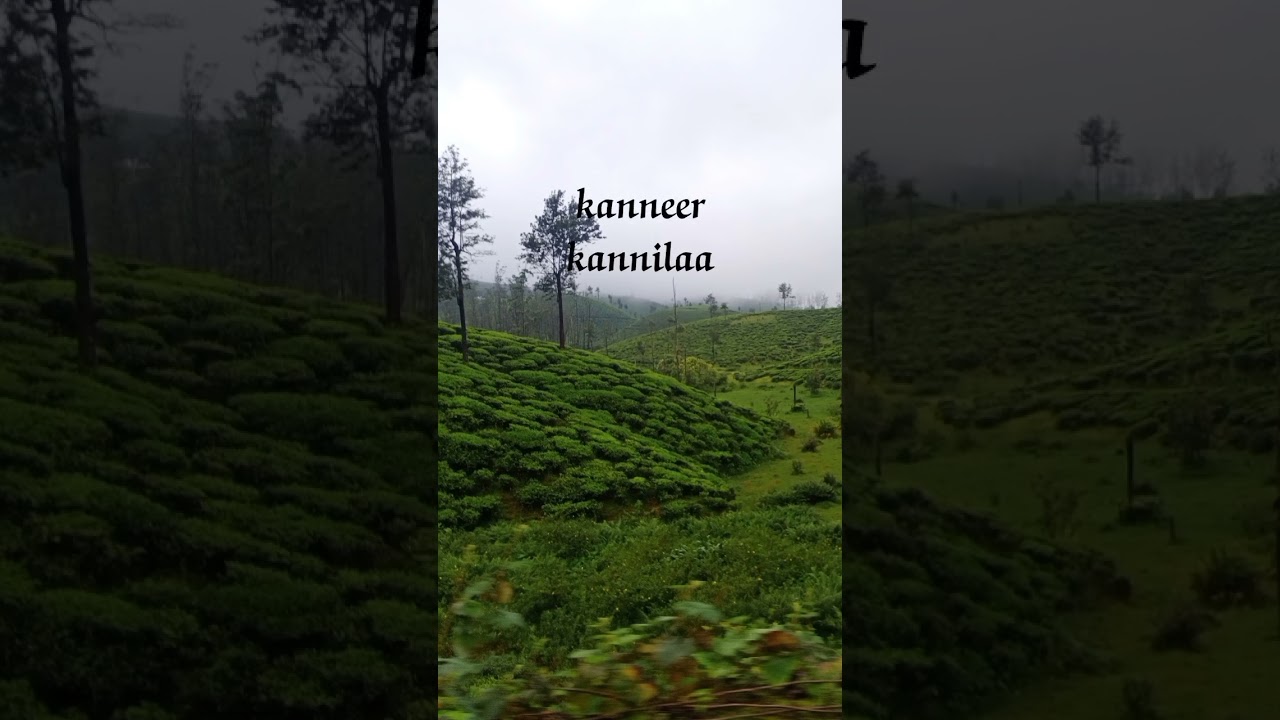 Yaro manathile | Dhamdhum| Harris Jeyaraj| Bamby Jeyasree