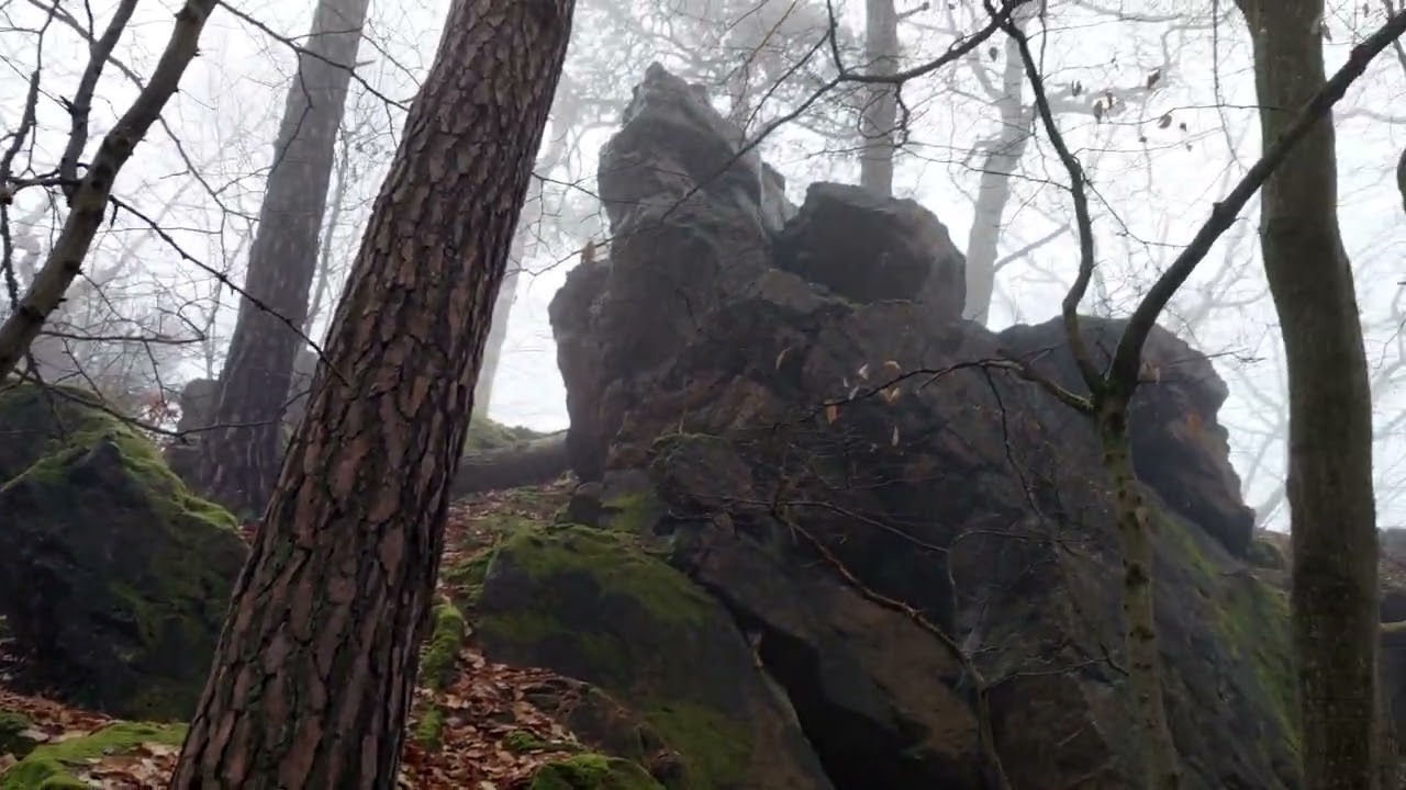 Videoprocházky lesem - Vlog - někde hluboko v Křivoklátských lesích by Iveta Honzová