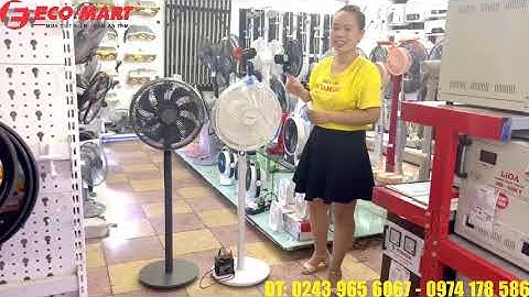 Quạt cây dùng Ắc Quy - Dreamer DC inverter DHA-SSF136W dùng được như quạt tích điện