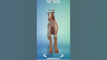 If my Sims were horses 🐴 | The Sims 4 | #thesims #sims4 #shorts