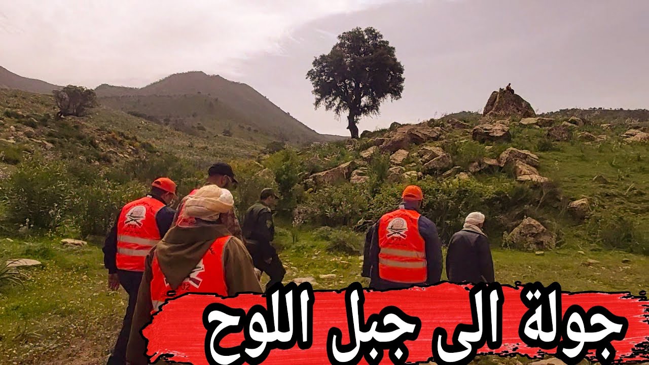 جولة الى جبل اللوح لاحصاء بعض الحيونات