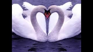 MY GIRL by : Rod Stewart