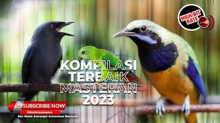 🔴 KOMPILASI MASTERAN TERBAIK 2023 ❗️Cucak Cungkok Gacor vs Srindit Betina Gacor vs Srigunting Abu