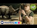 Dinosaur Fossil Mystery - T-Rex Kids Show | MOONBUG Kids Superheroes