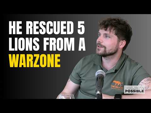 The CBBC star that rescued five lions from a warzone: an interview with One Zoo Three's Cam Whitnall