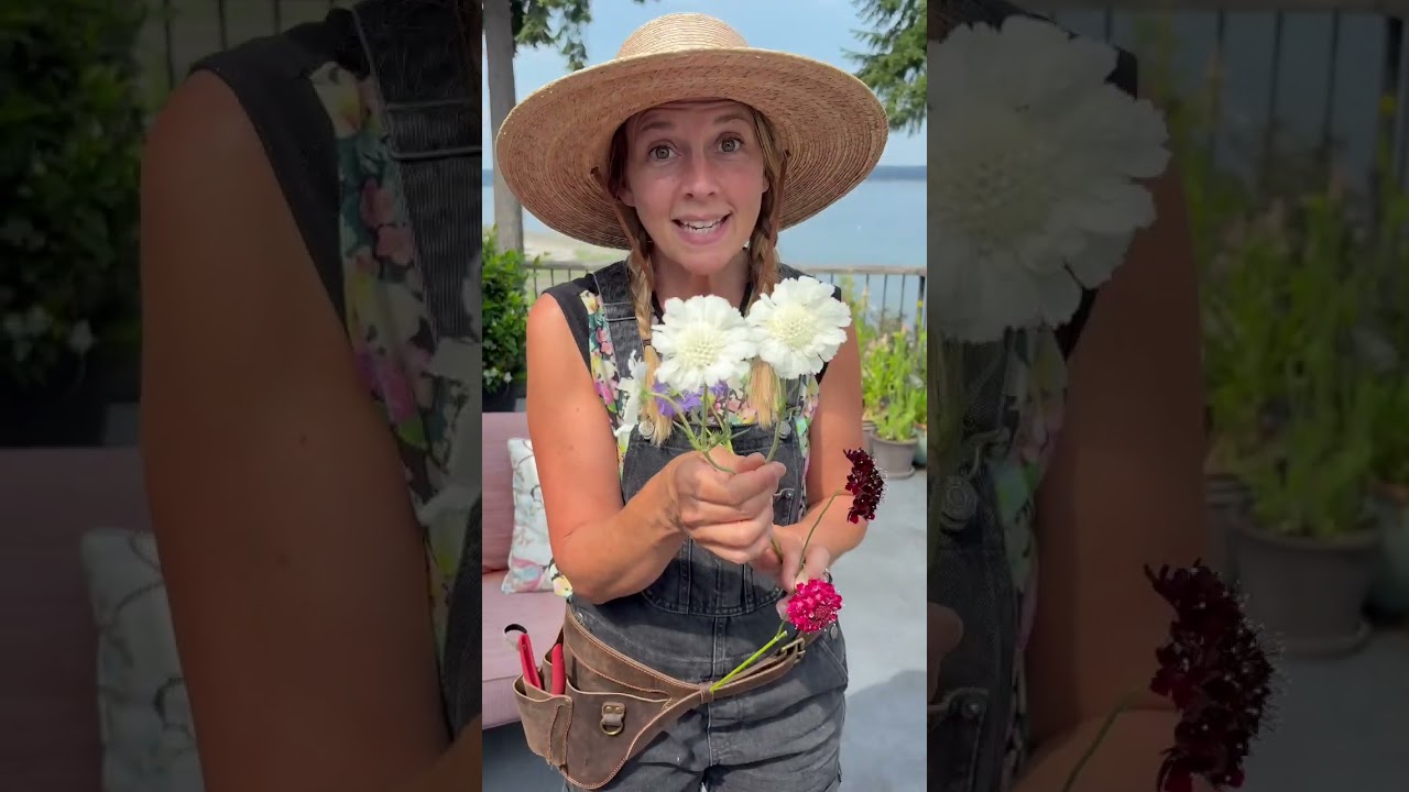 The most beautiful perennial flowers for cut flower arrangements