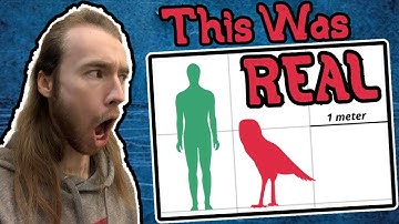 The Largest Owl of ALL TIME was HUGE