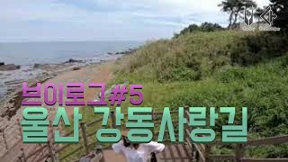 강동사랑길 4코스 영상