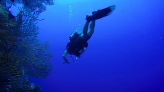 Grand Cayman Wall Dive GoPro Nov2016 HD
