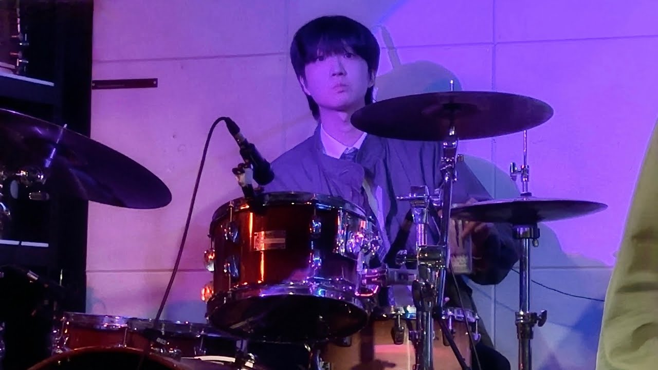 260222 올드 잉글리쉬 쉽독 @채널1969