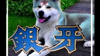 Ginga Charecters in real life