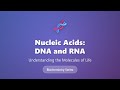 Nucleic Acids: DNA and RNA Explained | Biochemistry Basics for Beginners