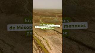 En Irak, les marais de Mésopotamie sont en danger