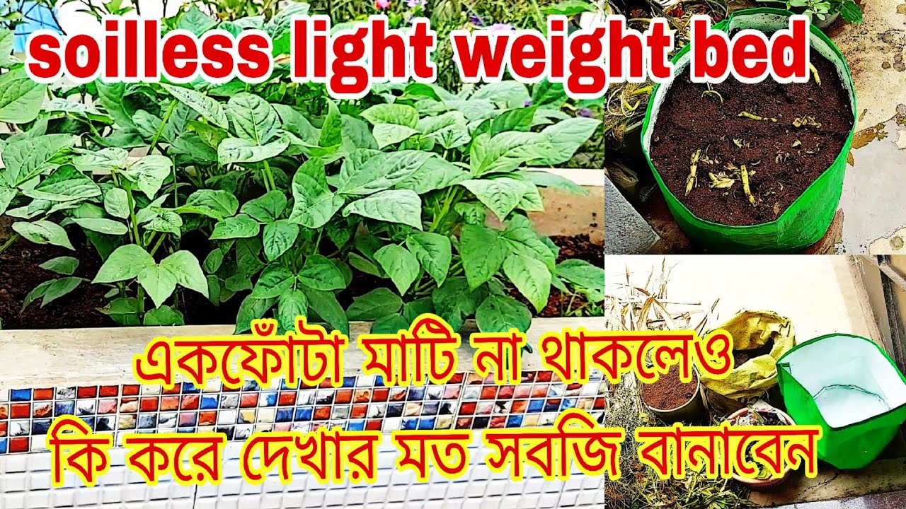 একফোঁটা মাটি লাগবে না।এই ভাবে বেড বানিয়ে দেখার মত সবজি, ফুল করুন।#soillessfarming #compost #wastage