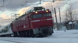 EF81ー141号機+E257系0M54編成AT出場配給　2022.1.17