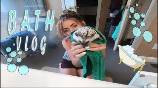 BATHING HEDGEHOGS || VLOG by Liv Chambliss 1,936 views 5 years ago 6 minutes, 19 seconds