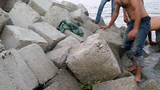 Megna Bhola Sadarmegna Nodienjoyble Time