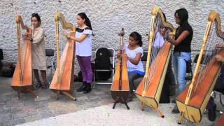 3er Encuentro de Son Jarocho, Fiesta de las Jaranas y las Tarimas , CENART