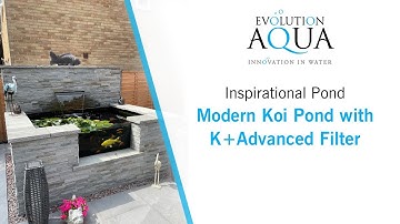 Raised Modern Koi Pond running on an Evolution Aqua K+Advanced Filter