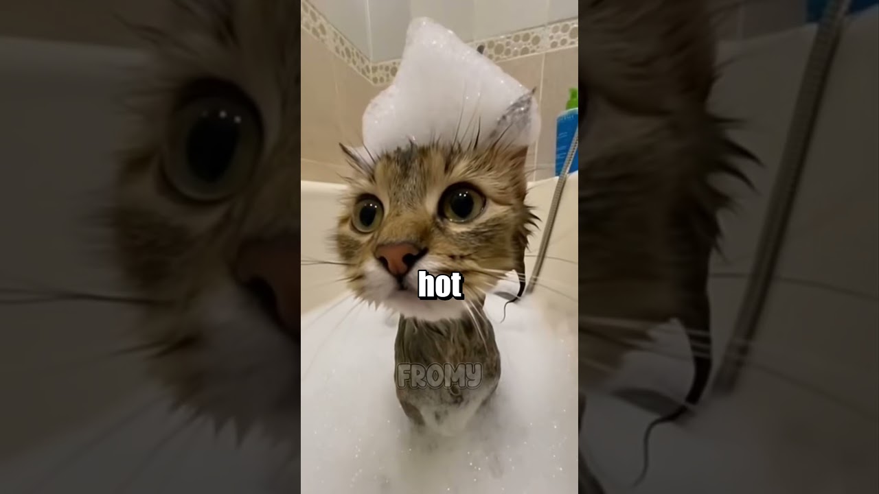 What happens if you wash in very hot water? 🙀