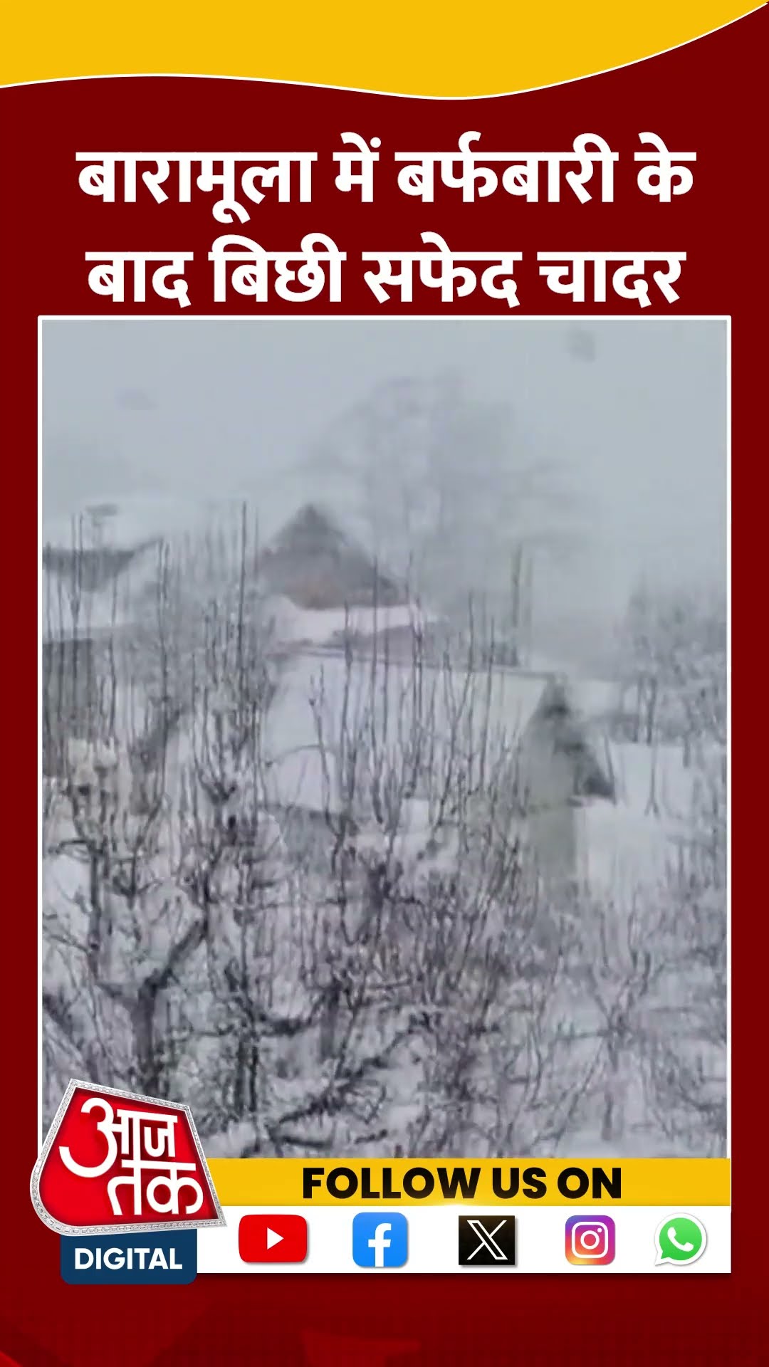Kashmir Weather: Baramulla में Heavy Snowfall के बाद बिछी सफेद चादर | #shorts #shortvideo