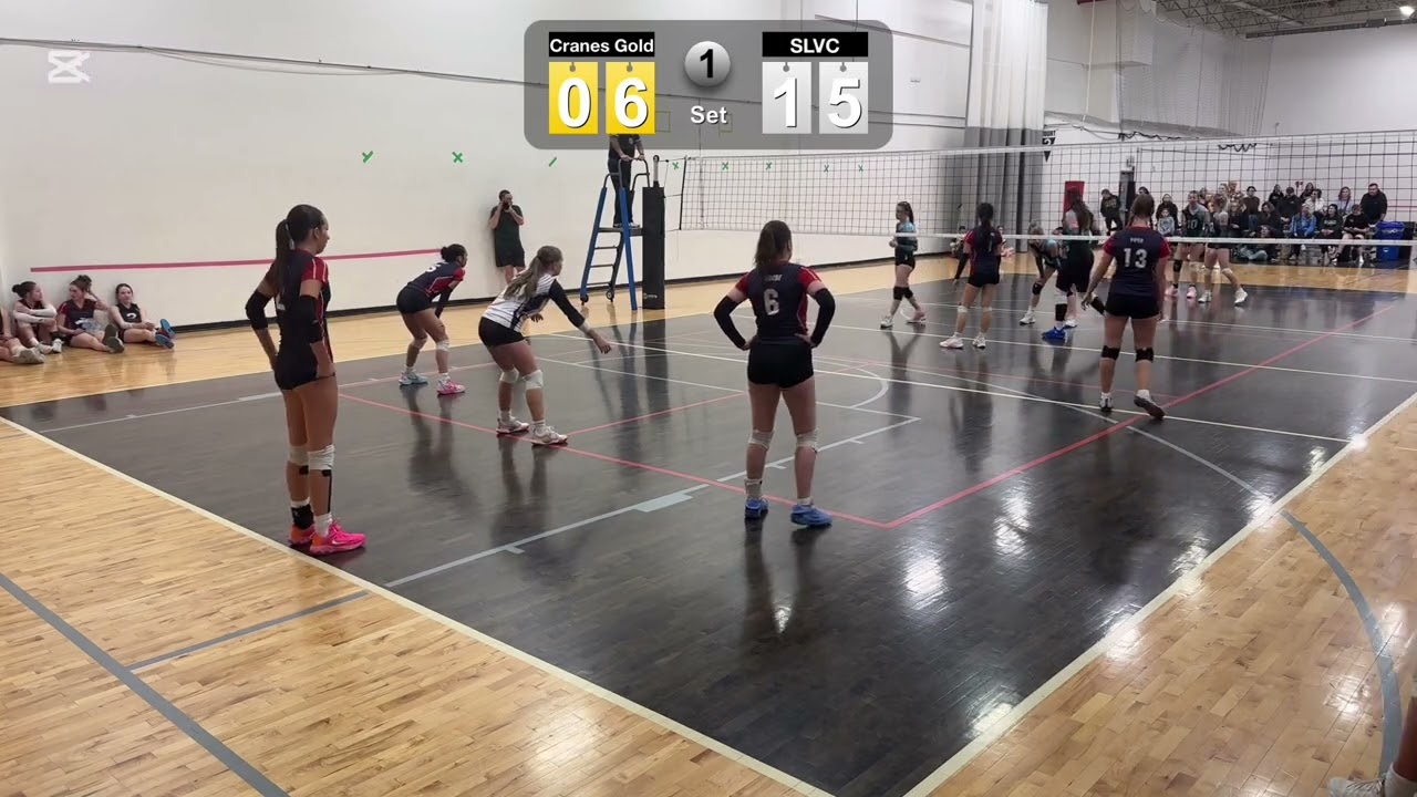 Cranes Gold vs SLVC at AVA1 Feb22-2026