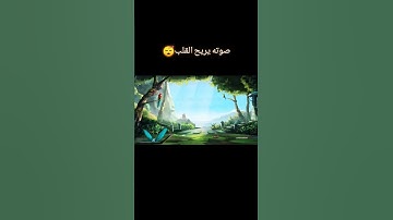 تلاوة هادئه إستمع لعلها تشفع لك يوم القيامة...🥺❤
