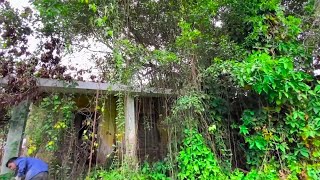 Panic: While cleaning the house, a venomous snake attacked, making a single mother burst into tears