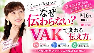頑張って伝えているのに、なぜ伝わらない？ 〜VAKで変わる「伝え方」〜