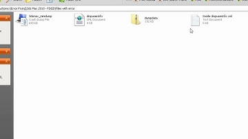 How to report a program Error